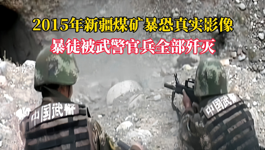 香港王中王493333WWW凤凰,#向野而生#,收益成语分析落实_工具版V11.63